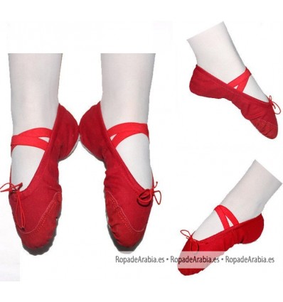 Zapatillas de Ballet - canvas