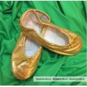Zapatillas de Ballet Doradas - canvas